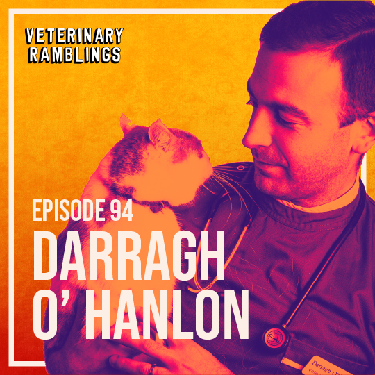 Ep 94 Veterinary Dermatology With Dr Darragh O’ Hanlon AKA