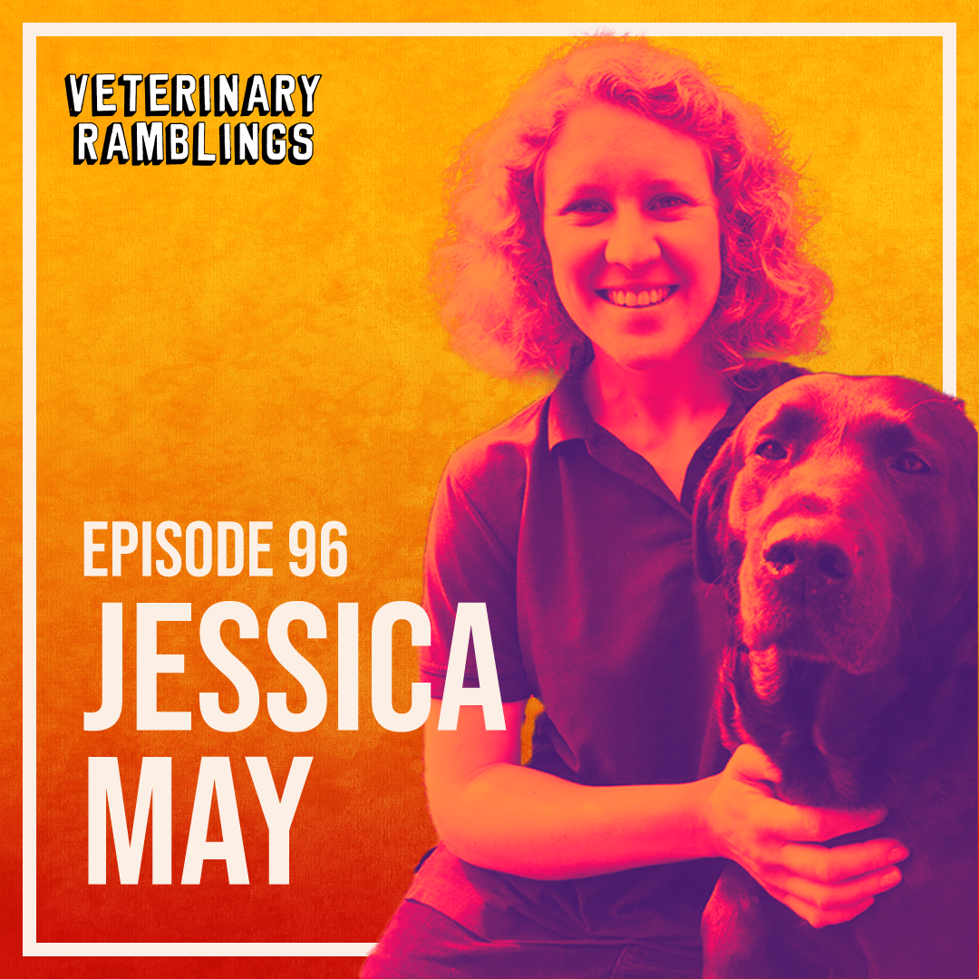 Ep 96 Telemedicine And Technology In The Veterinary Industry With